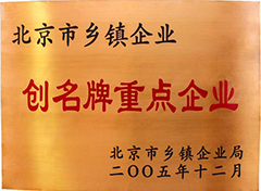 北京市乡镇企业创名牌重点企业