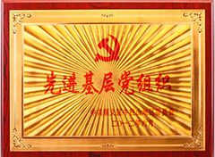 先进基层党组织