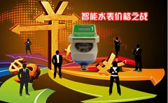 智能水表价格之战 不是便宜才有前途