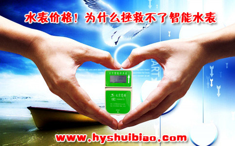 水表价格为什么拯救不了智能水表