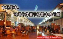 市场用水，可用IC卡分体显示智能水表计量