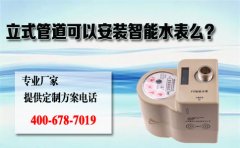 立式管道可以安装智能水表么？