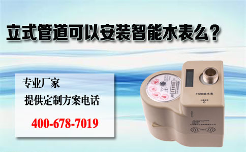 立式管道可以安装智能水表么