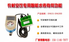 农村安饮专用智能水表