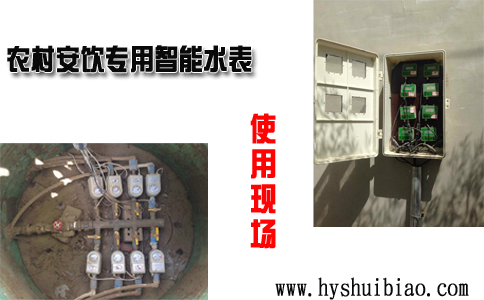 农村安饮专用水表使用现场