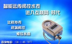 智能远传阀控水表 进入互联网+时代