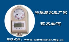 窄带物联网水表厂家技术如何