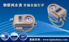 物联网水表市场全面打开