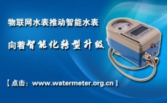 NB-IoT物联网水表大规模试点
