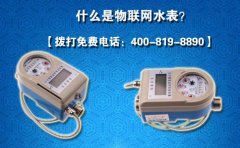 什么是物联网水表?