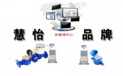 数据远传物联网水表投放市场