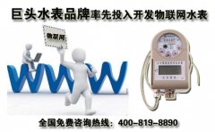 巨头水表品牌率先投入开发物联网水表