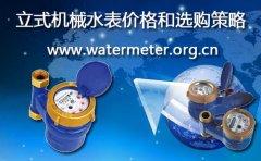 立式机械水表价格和选购策略