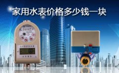 家用水表价格多少钱一块