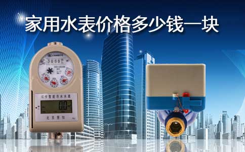 家用水表价格多少钱一块