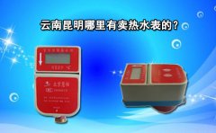 云南昆明哪里有卖热水表的?