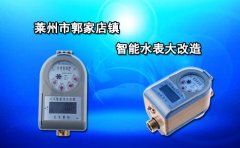 莱州市郭家店镇智能水表大改造