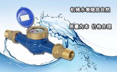 机械水表隐居自然