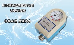 卧式螺纹远传家用水表 方便你我他