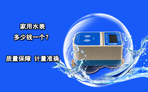 家用水表多少钱一个？