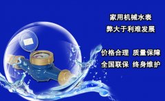 家用机械水表弊大于利难发展