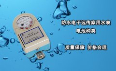 防水电子远传家用水表电池种类