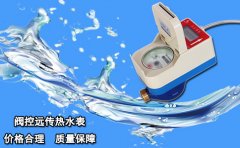 阀控远传热水表